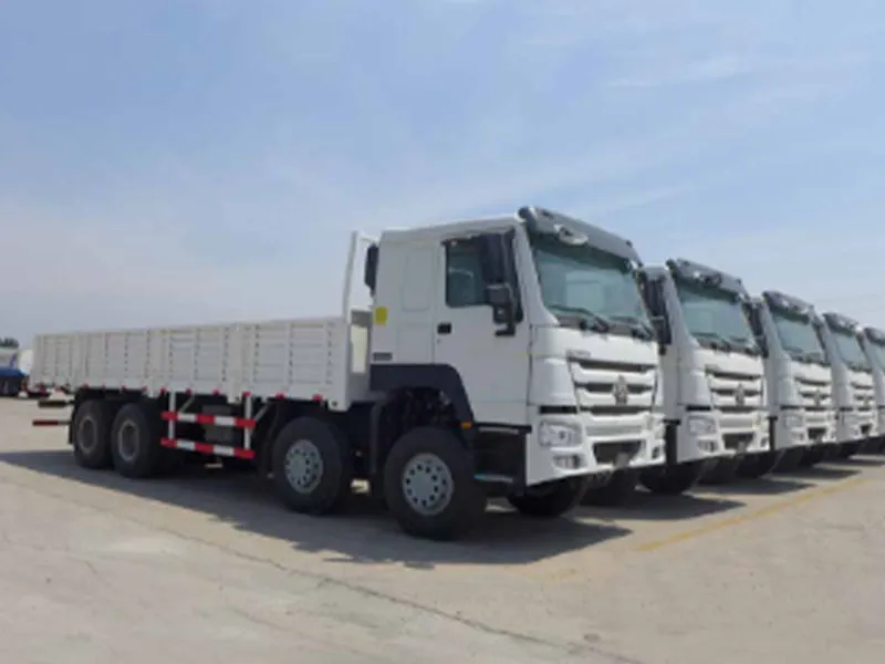 HOWO TX 8×4 Cargo Truck 8×4