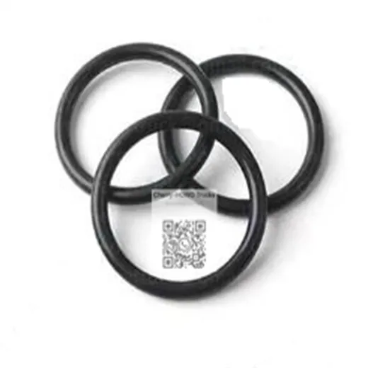 O-Ring