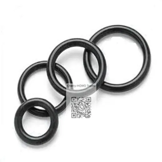O-Ring