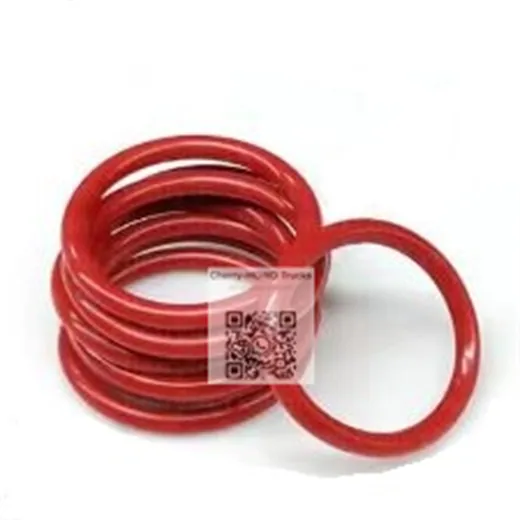 O-Ring
