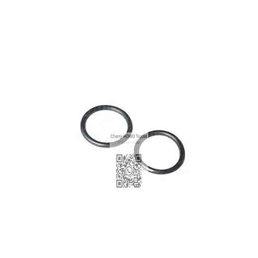 O-Ring
