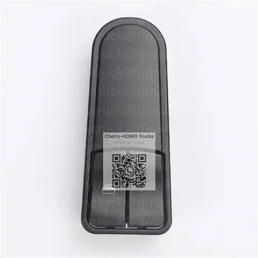 Door Switch Panel