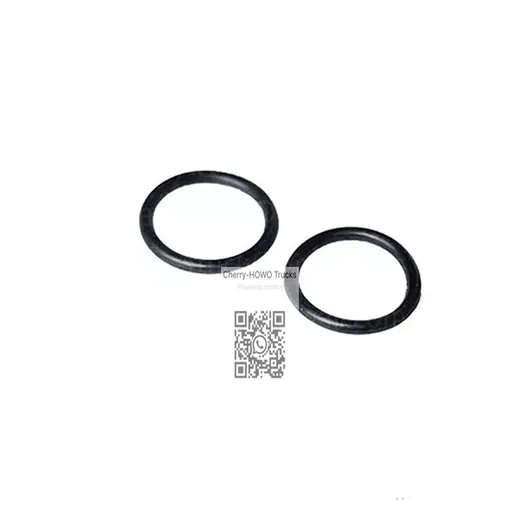 O-Ring