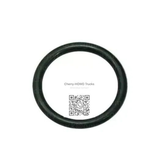 O-Ring