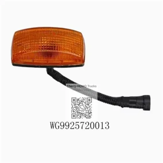 Turning Signal Lamp (Right)