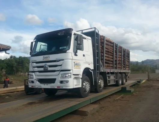 HOWO Logging Truck