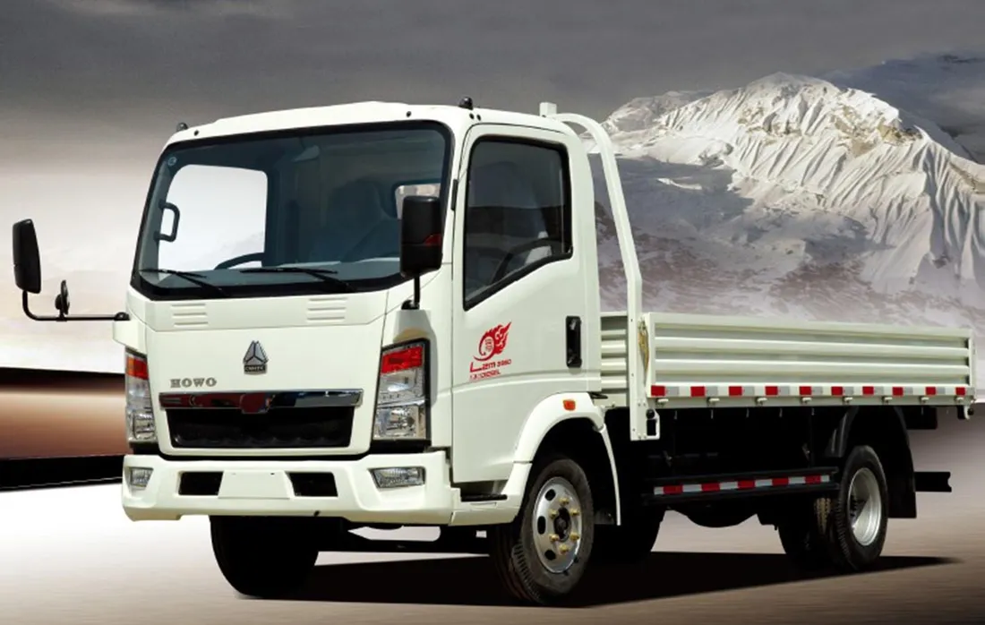 HOWO Light Cargo Truck