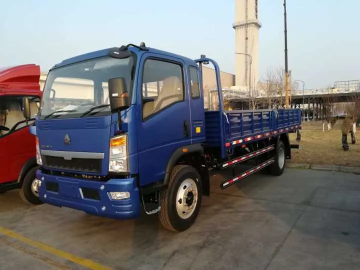HOWO 3 Tons Cargo Truck